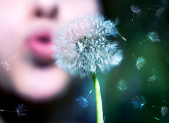 5 Fakten, die man über das Orale Allergiesyndrom wissen sollte 