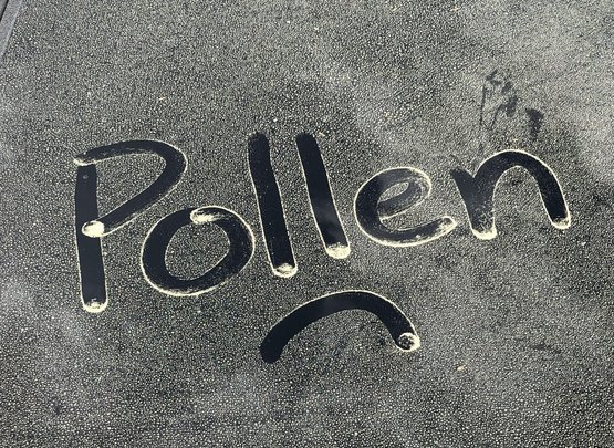 Pollenallergie: Drei falsche Mythen