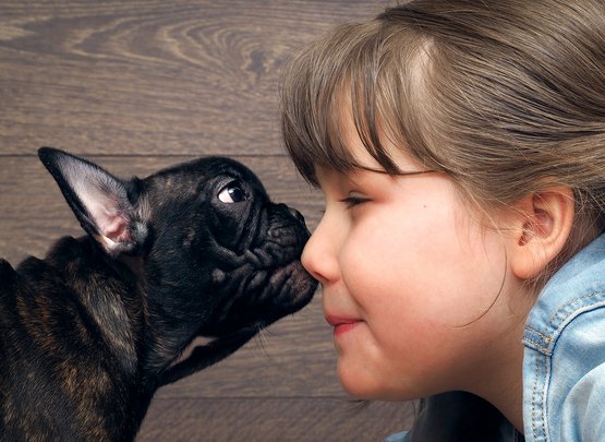 Hundeallergie: Ursachen, Symptome und Behandlung