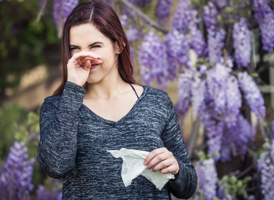Mythen Fakten Pollen